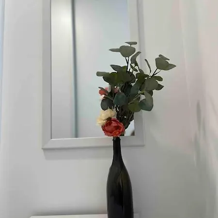 Magnolia 브라티슬라바