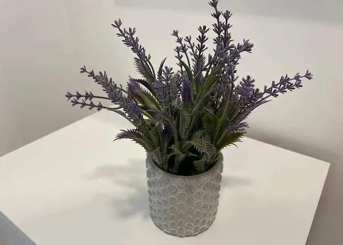 Magnolia ブラチスラヴァ