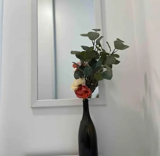 Magnolia ブラチスラヴァ