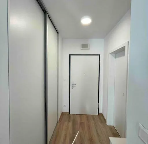 Magnolia * Bratislava